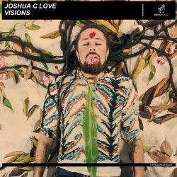 Visions - Joshua C Love